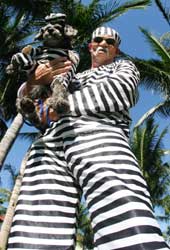 2003 Pet Masquerade photo - Duval Street, Key West